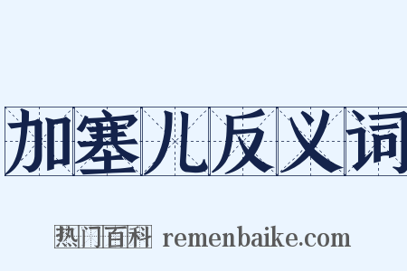 加塞儿反义词是什么意思的图片